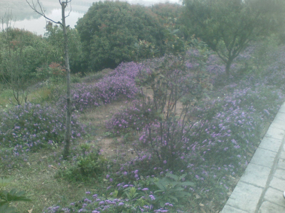 水濂山公园-东莞市必去景点