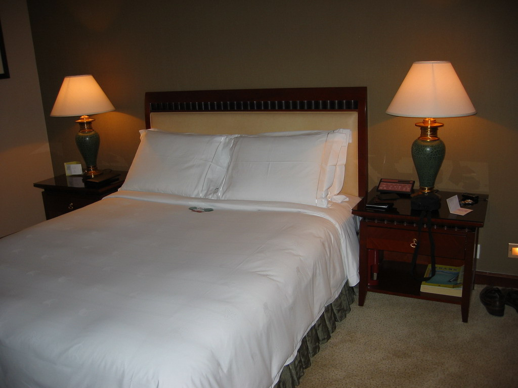 圣廷苑酒店(世纪楼)主图