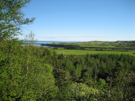 Cartyville旅游攻略图片