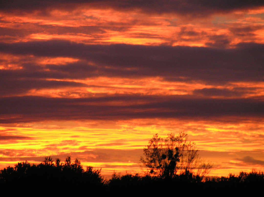 Harris Neck National Wildlife Refuge-萨凡纳必去景点