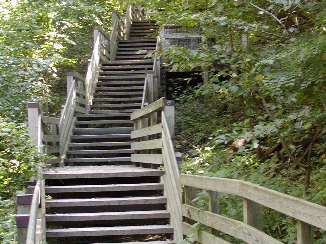 饥饿岩石州立公园-奥格尔斯比必去景点