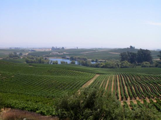 阿尔特萨酒庄-纳帕必去景点