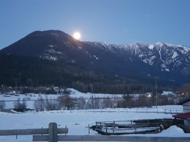 Brouse Creek B&b主图