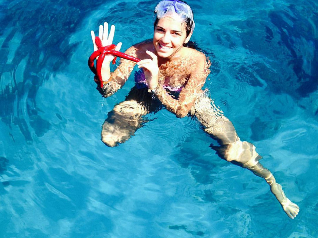 Egadi Snorkeling景点图片