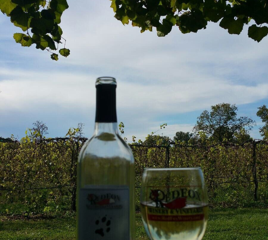 Garden City餐馆和美食-Red Fox Winery