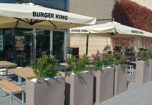 Burger King