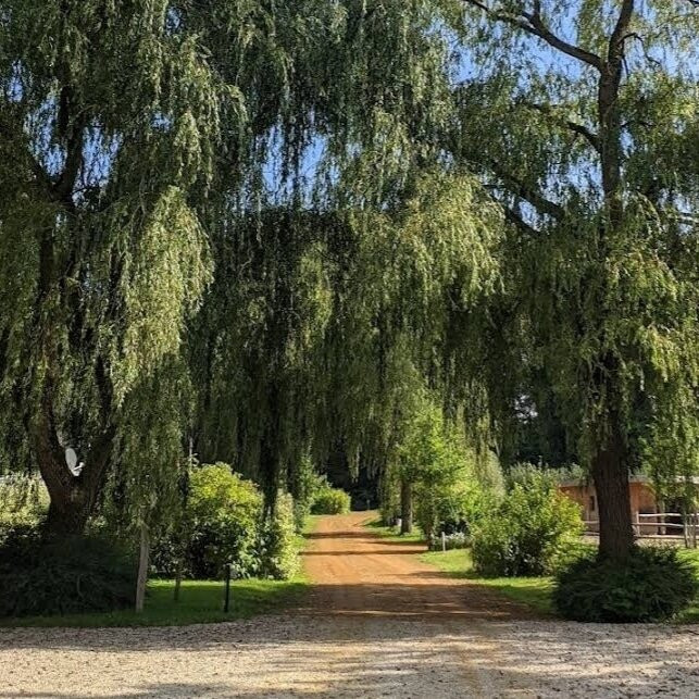 Willow Camp