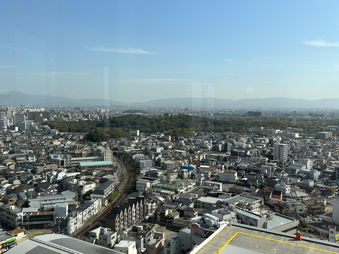 Sakai City Hall Observatory 21st Flour-坂井市必去景点