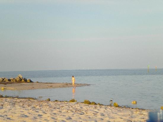 Curry Hammock State Park-马拉松必去景点