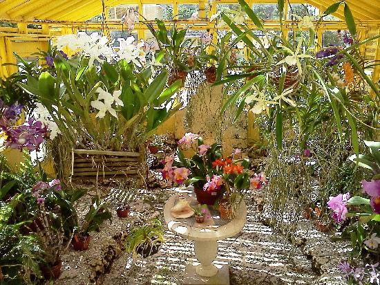 Bonnet House Museum and Gardens-劳德代尔堡必去景点