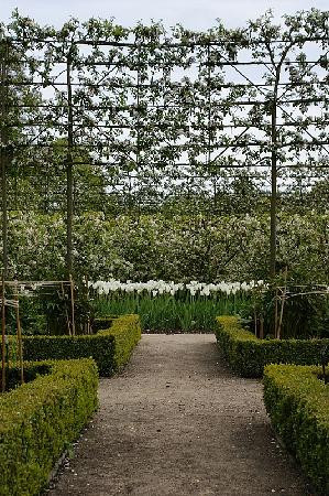 The Alnwick Garden-阿尼克必去景点
