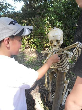 Spookers Haunted Attractions景点图片