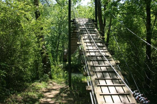 Sgt. Alvin C. York State Historic Park-Pall Mall必去景点