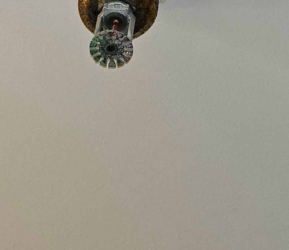 Comfort Suites Mobile East Bay主图