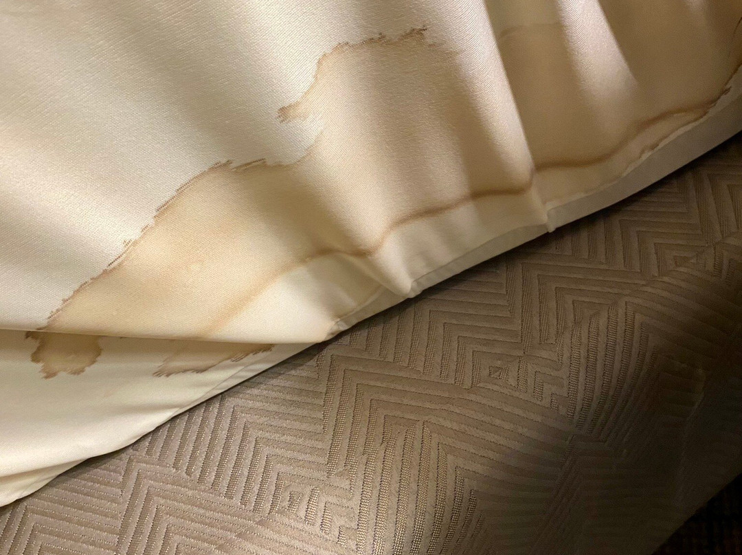 普利茅斯智选假日酒店主图