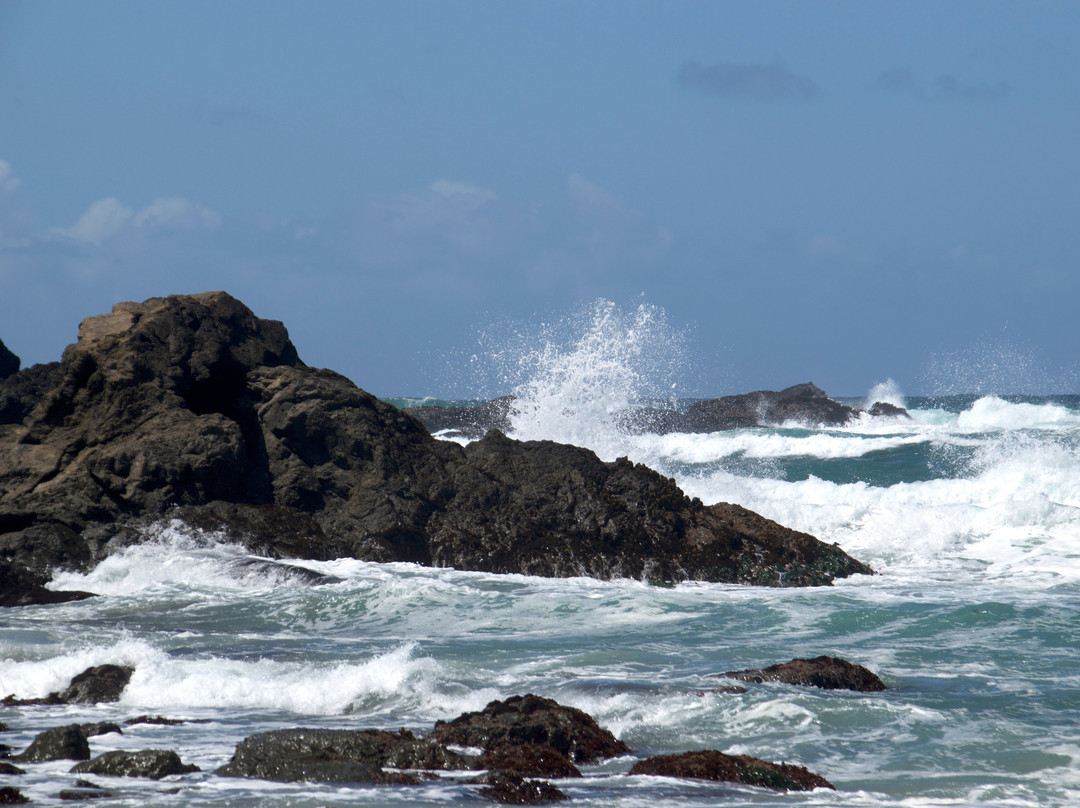 Jug Handle State Natural Preserve-卡斯帕必去景点