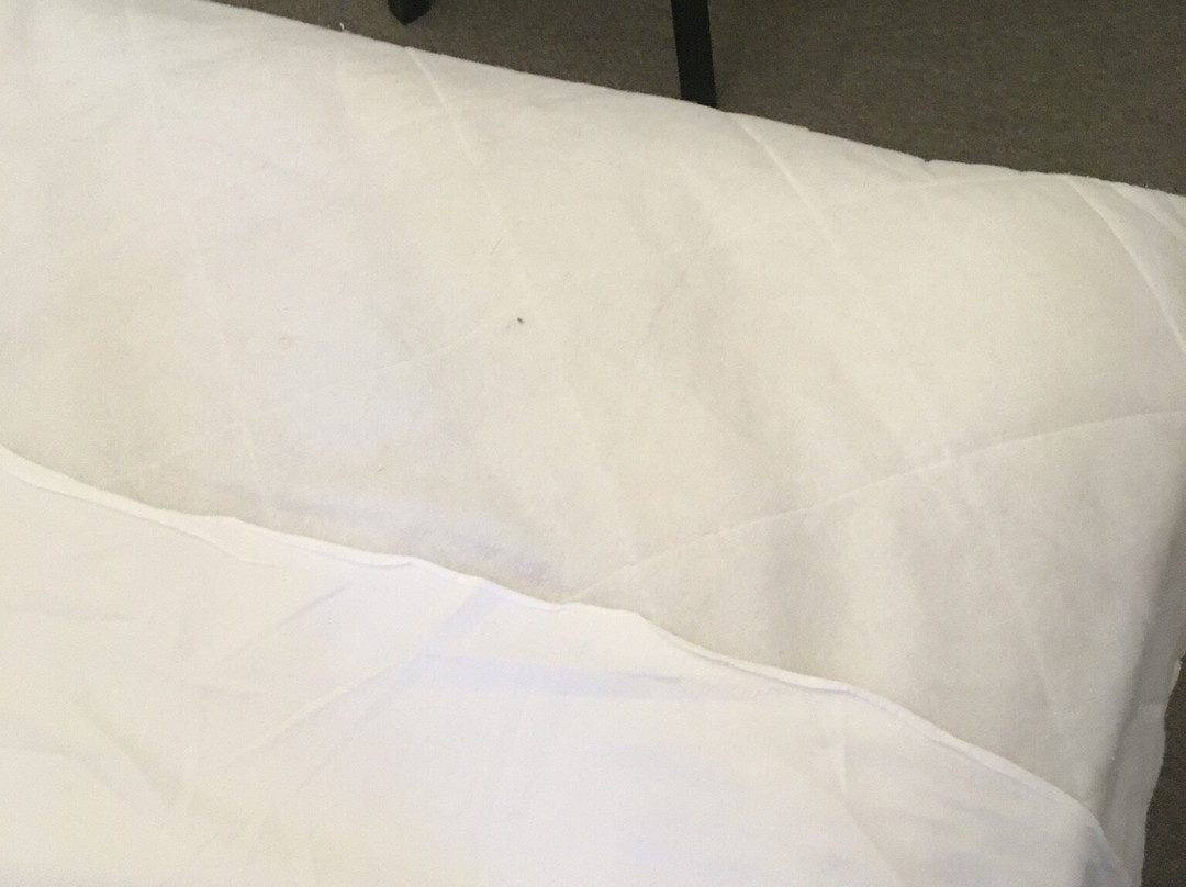 Rooms by Bistrot Pierre - The Crescent Inn主图