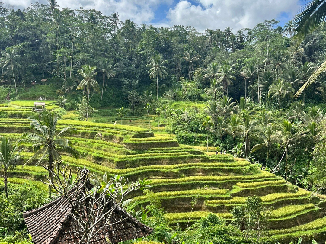Angel Bali Vacation-巴厘岛必去景点