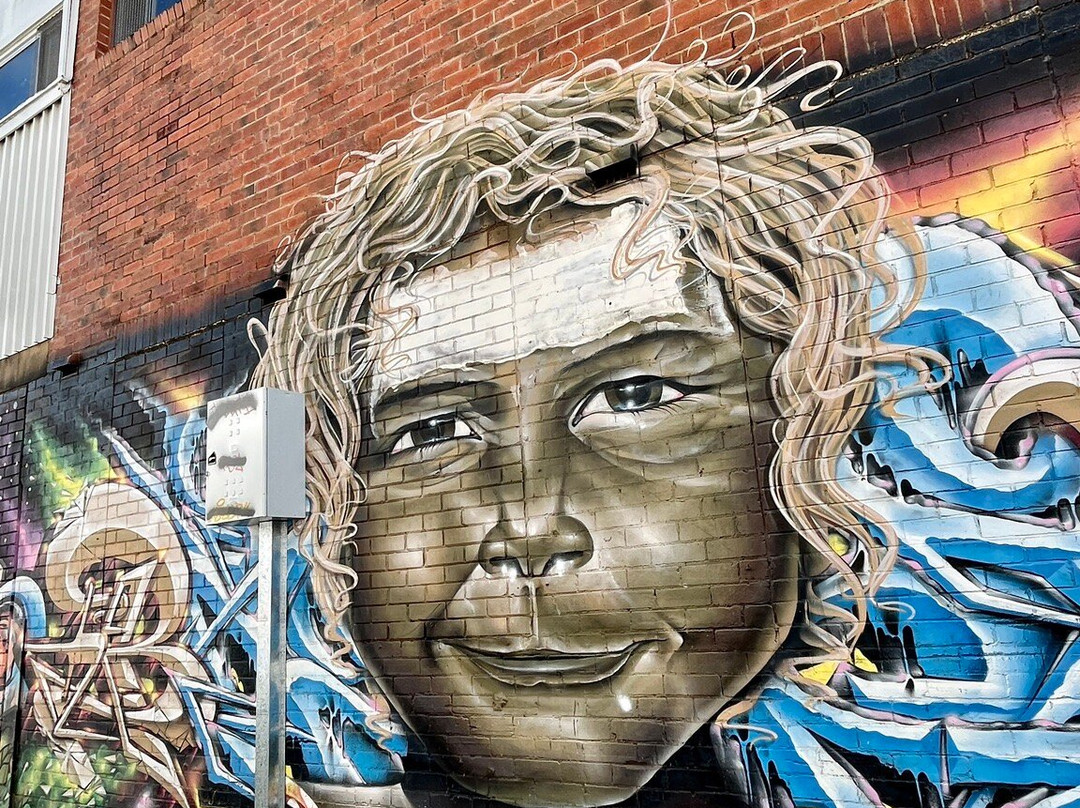 Laneway Street Art-利斯莫尔必去景点