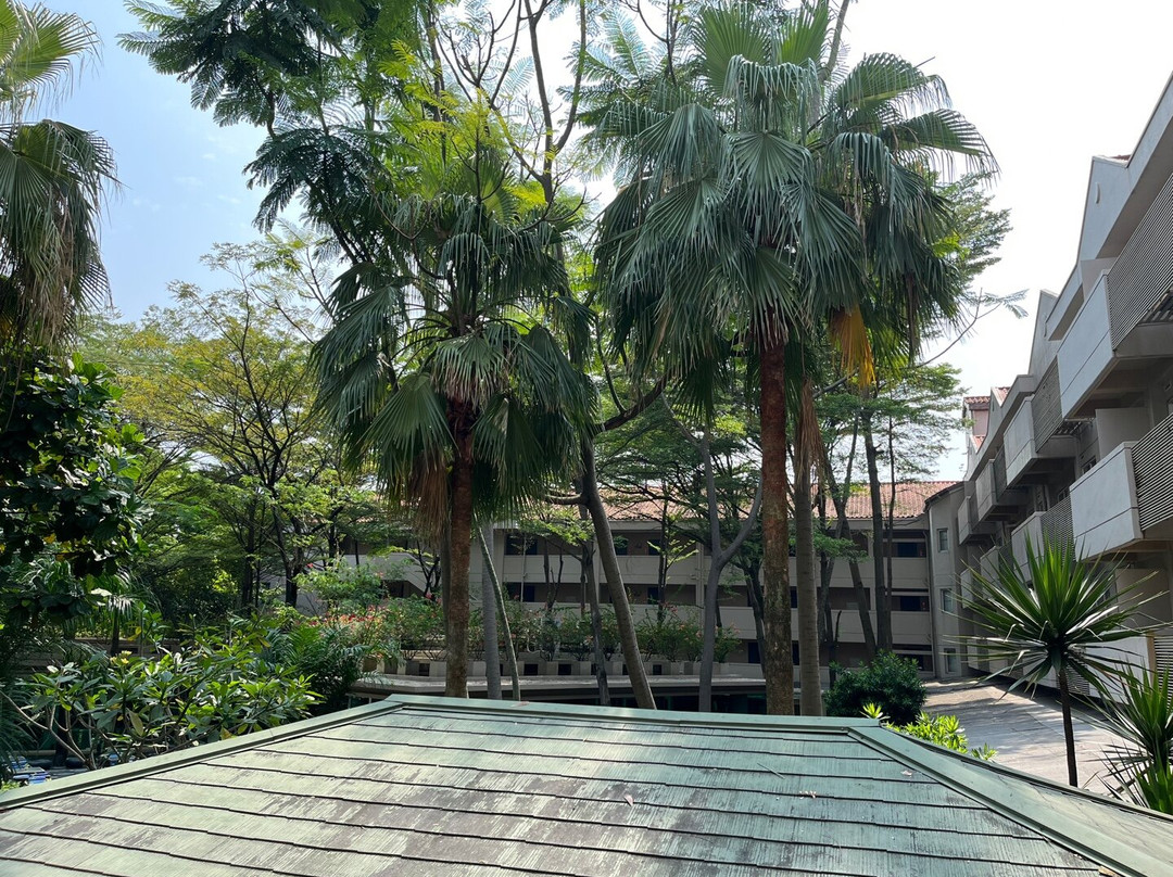 凤凰木酒店主图