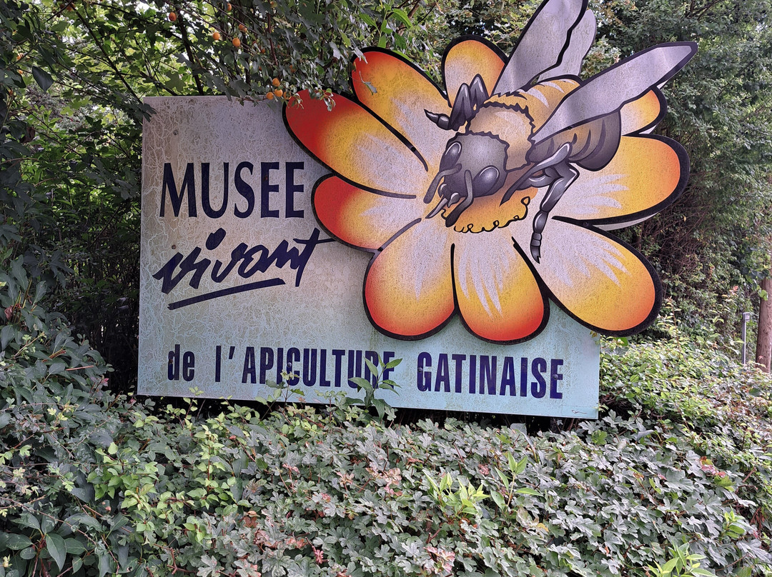 Musée Vivant de l’Apiculture-Chateau-Renard必去景点
