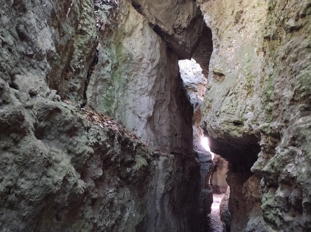 Paratge De les Estunes-Banyoles必去景点