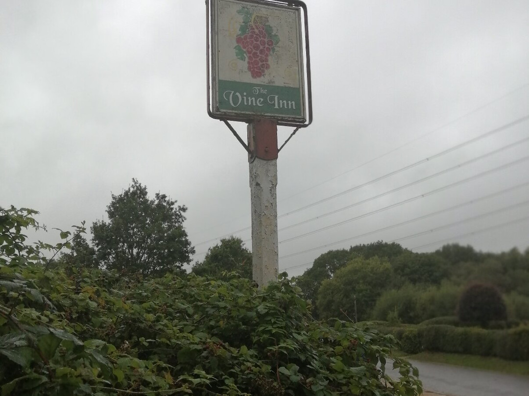 The Vine Inn-Wimborne Minster必去景点
