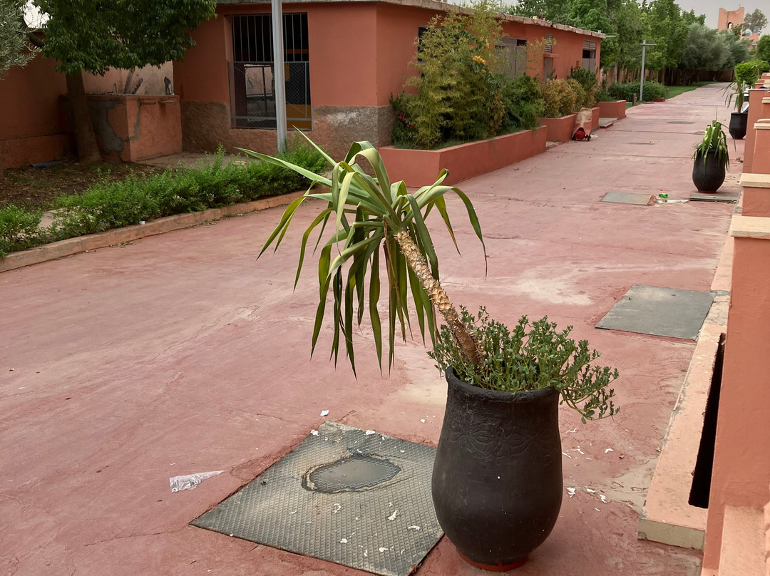 Pickalbatros Aqua Fun Club主图