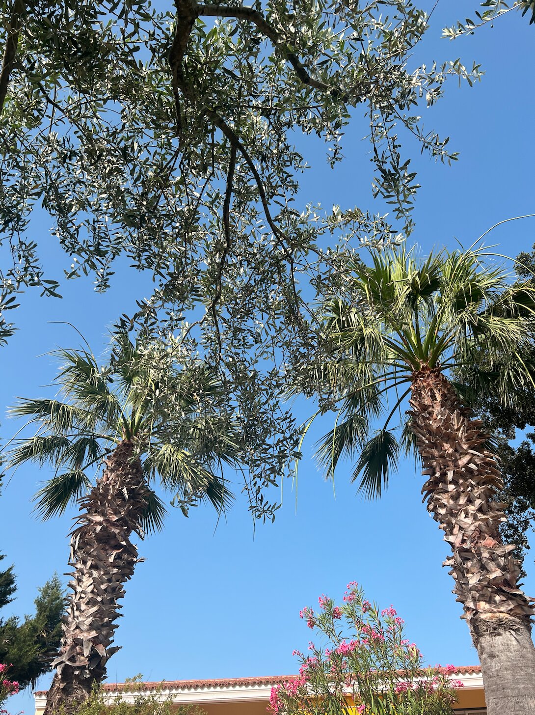 Tirreno Resort-浴室
