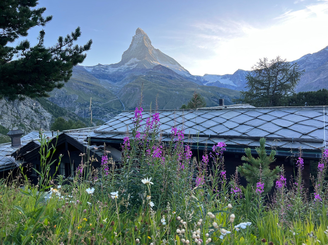 Chantal & Max Travel Design Switzerland-日内瓦必去景点