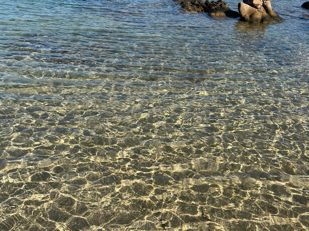 Spiaggia della Cala Li Mucchi Bianchi-Baia Sardinia必去景点