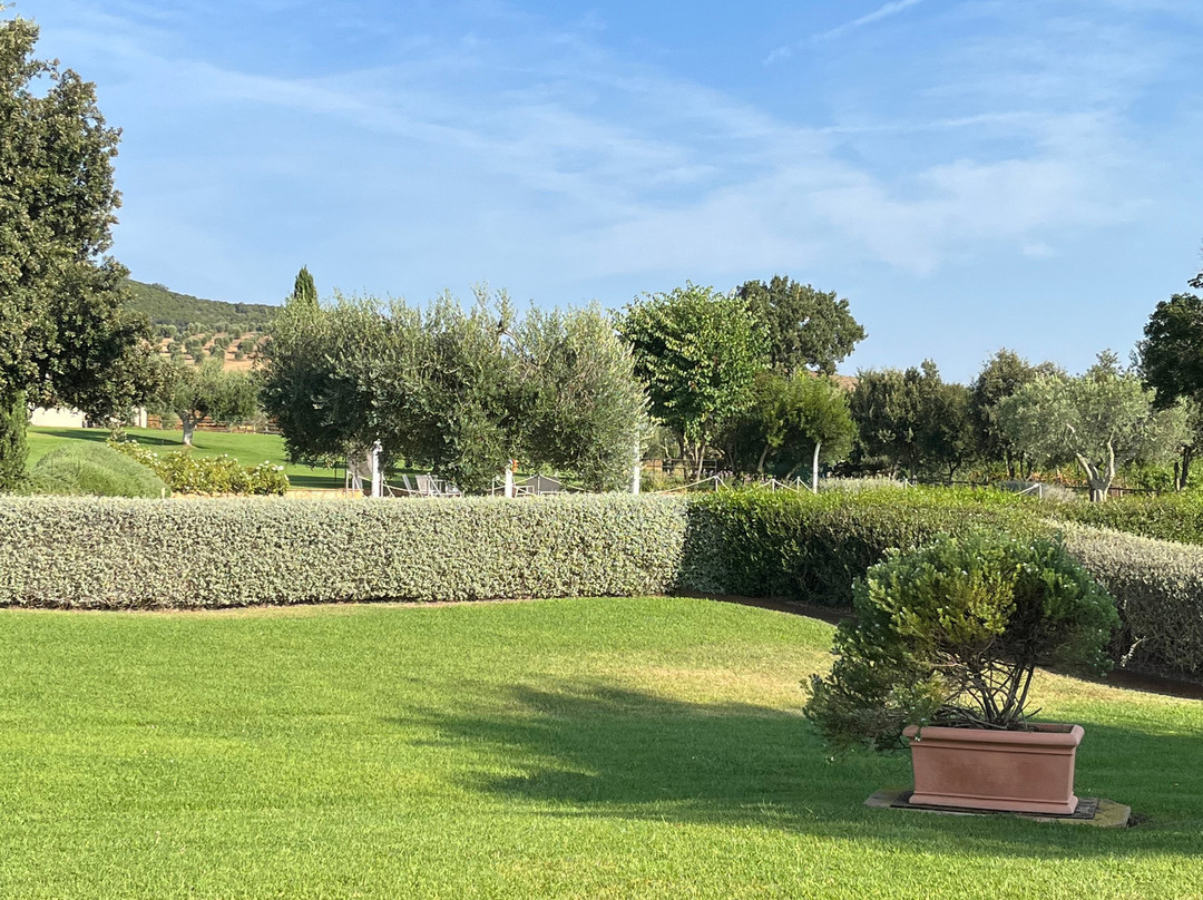 Agriturismo Il Casale degli Olivi主图