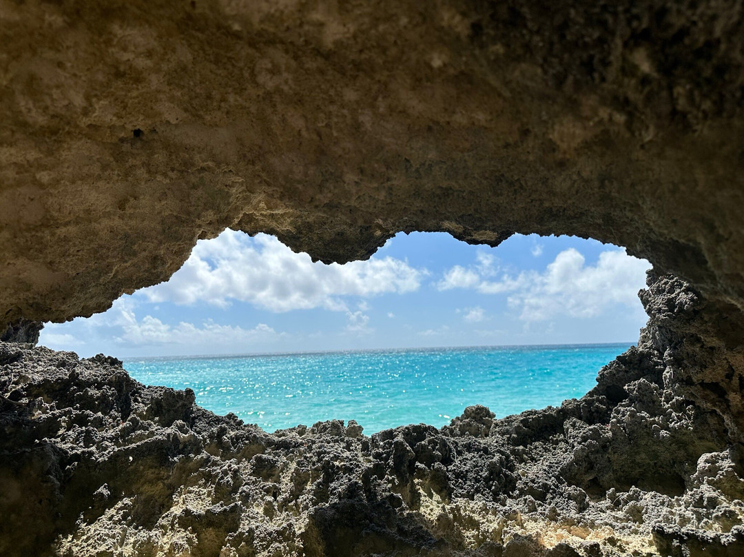 West Whale Bay Beach-南安普敦必去景点