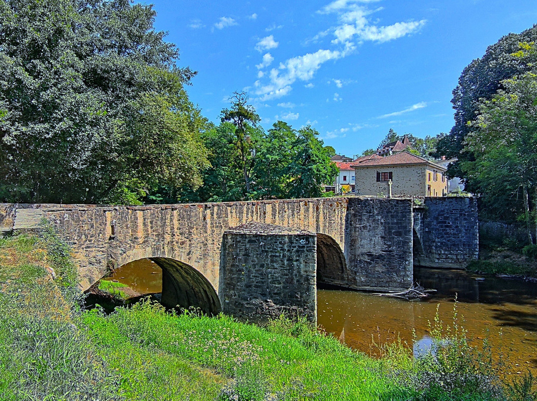 Pont Rompu sur la Briance à Solignac景点图片
