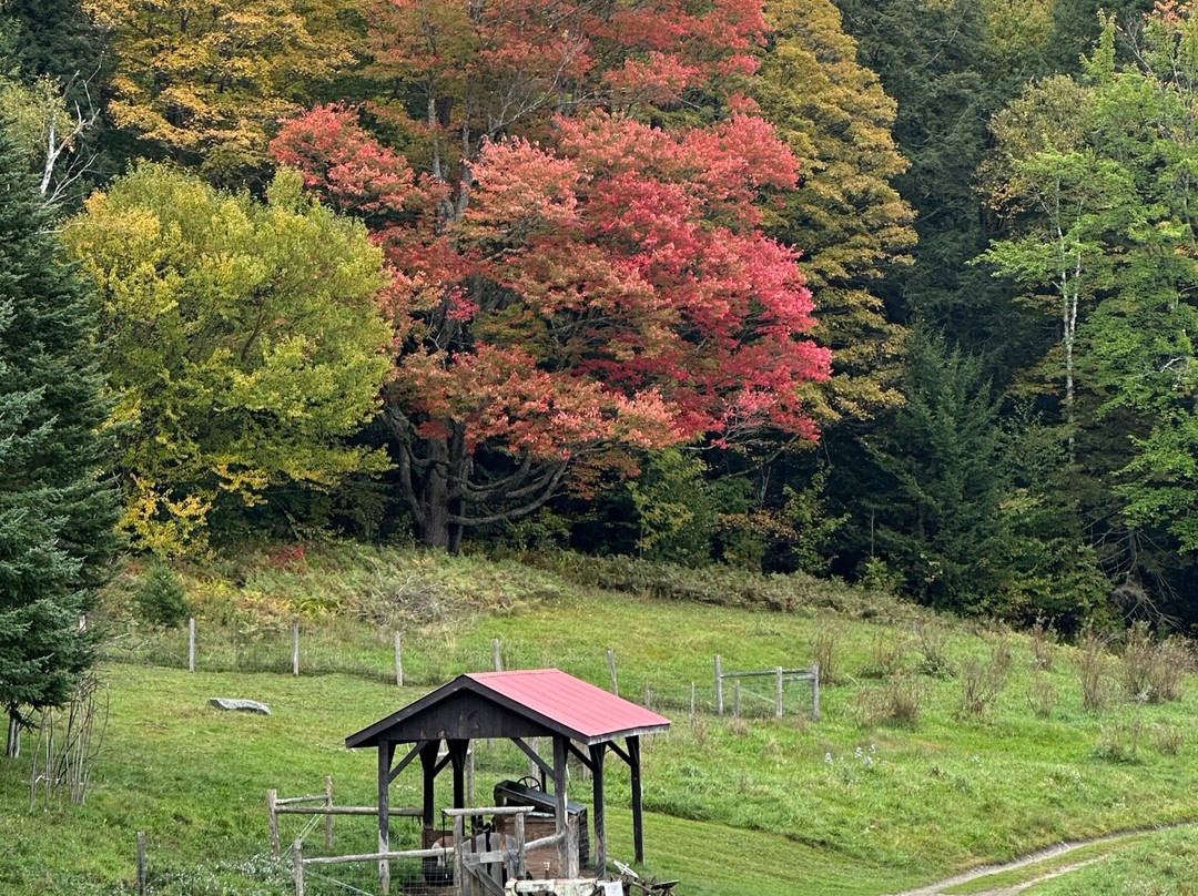 Morse Farm Maple Sugarworks-蒙彼利埃必去景点