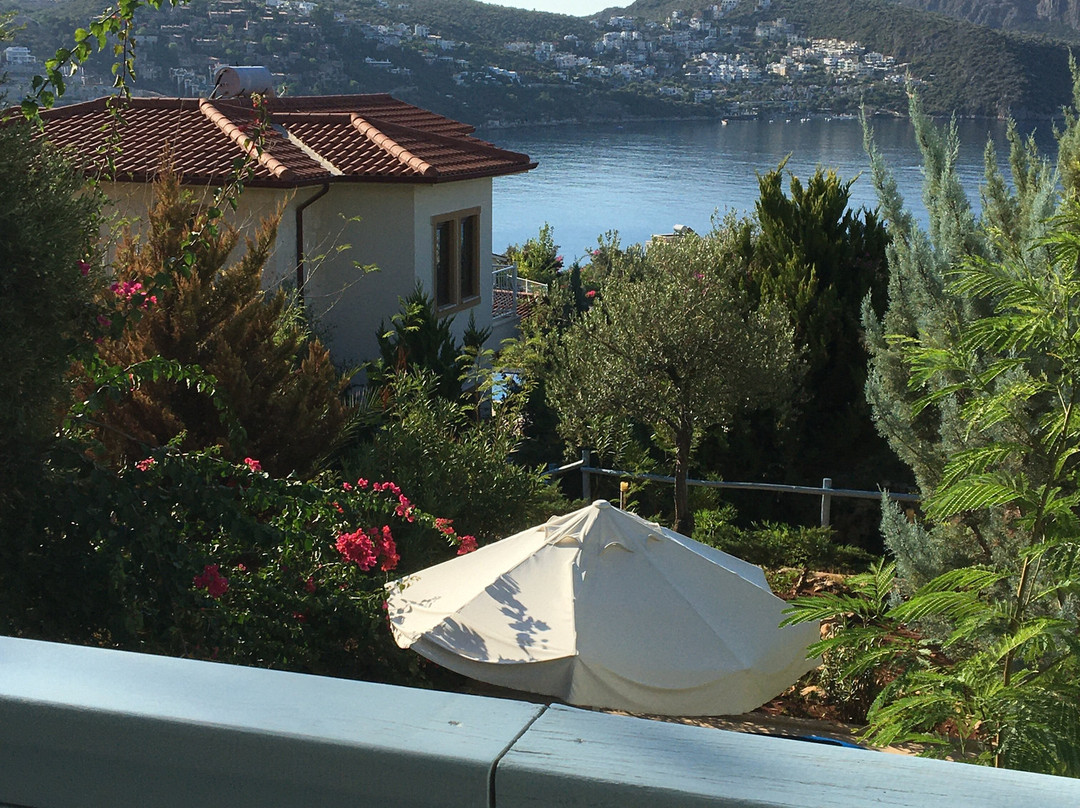 Asfiya Sea View Hotel主图