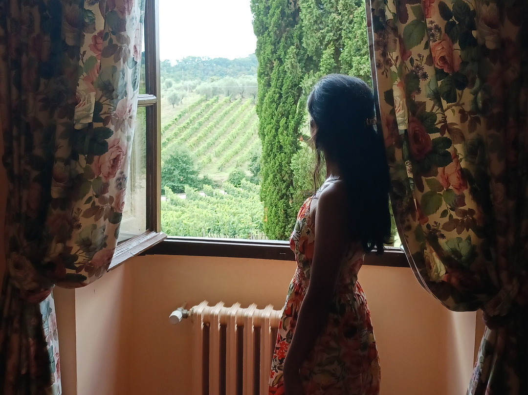 Guido's Tours - Wine Tours in Tuscany-佛罗伦萨必去景点
