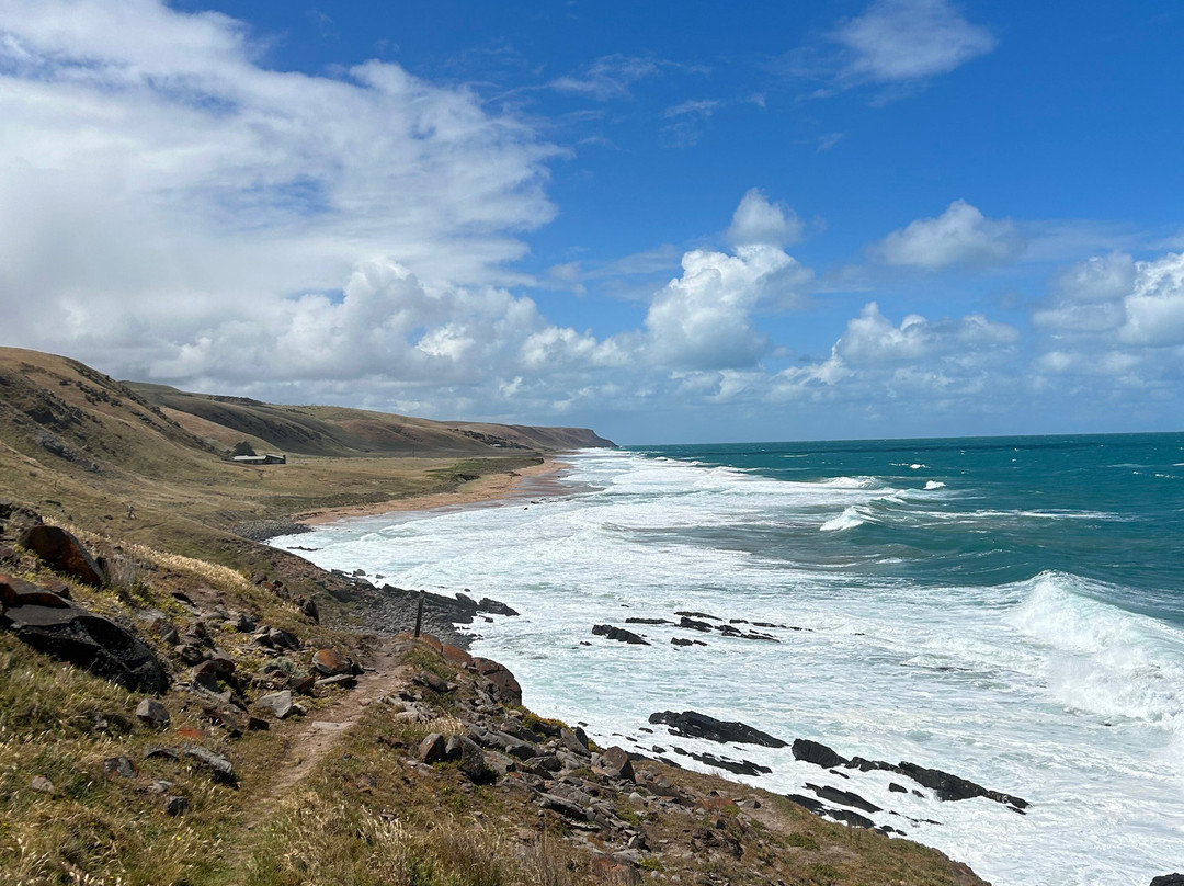 Southern Ocean Walk景点图片