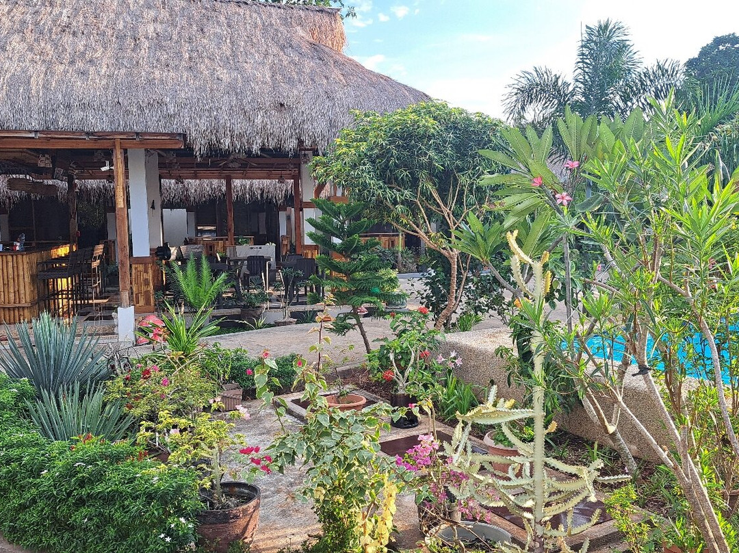 Rider's Paradise Bar & Inn主图