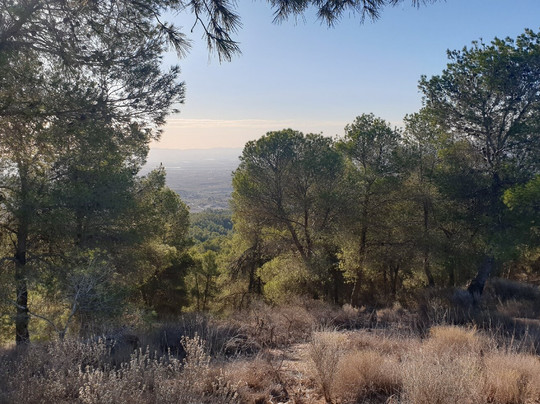 Mirador Cabezo del Alto-Sangonera La Verde必去景点