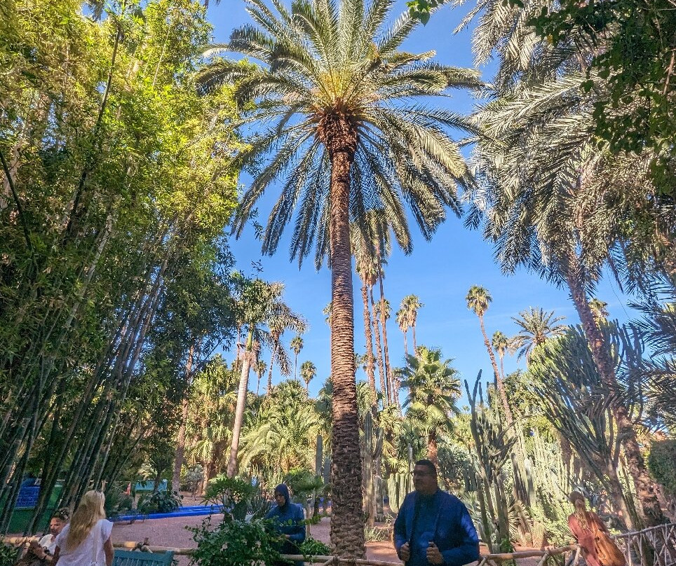 experienceamazingmorocco-马拉喀什必去景点