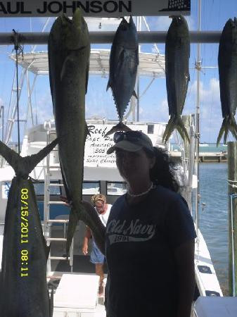 Reef Runner-伊斯拉摩拉达必去景点