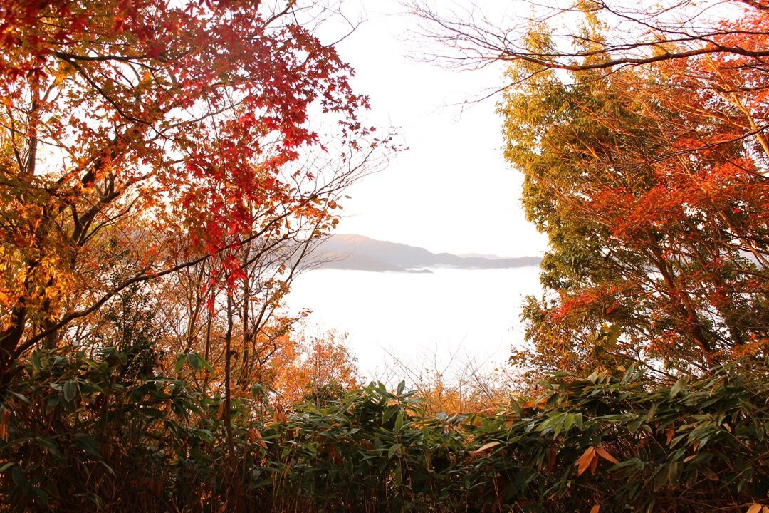 Futatsuyama Castle Ruins-邑南町必去景点