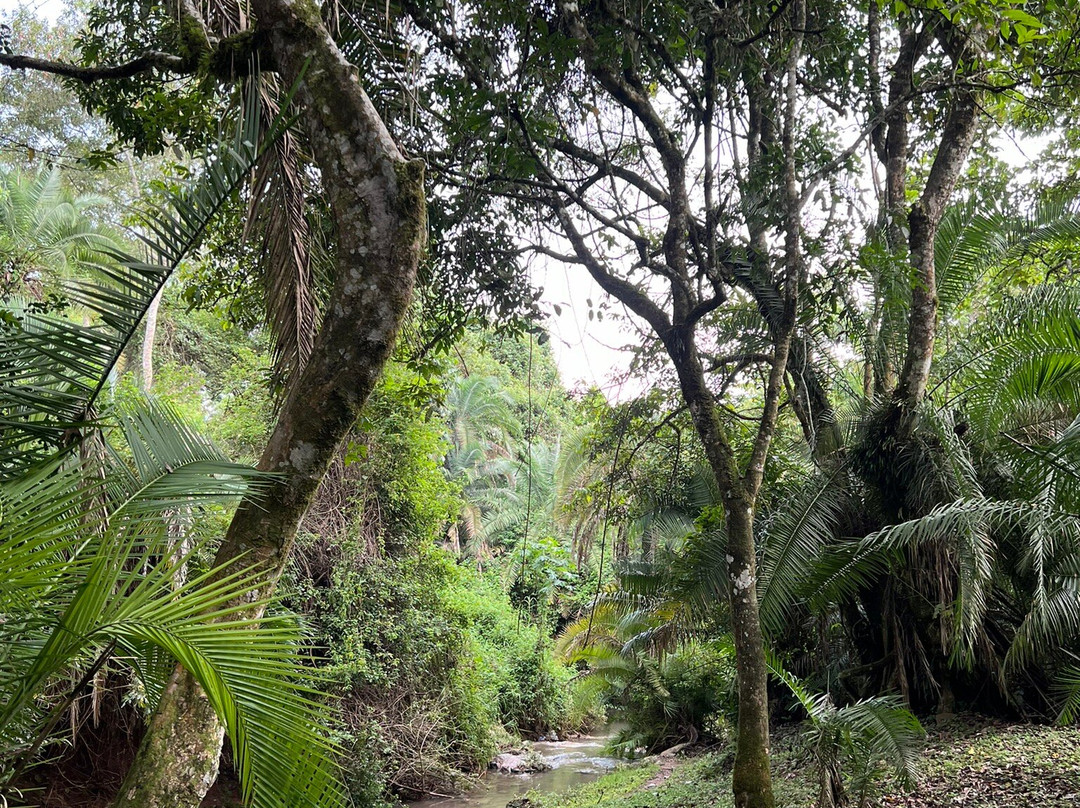 Jey's Jiko Kitchen and Resort主图