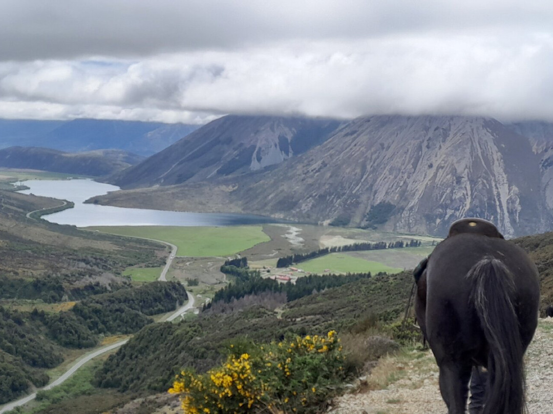 Alpine Horse Safaris景点图片