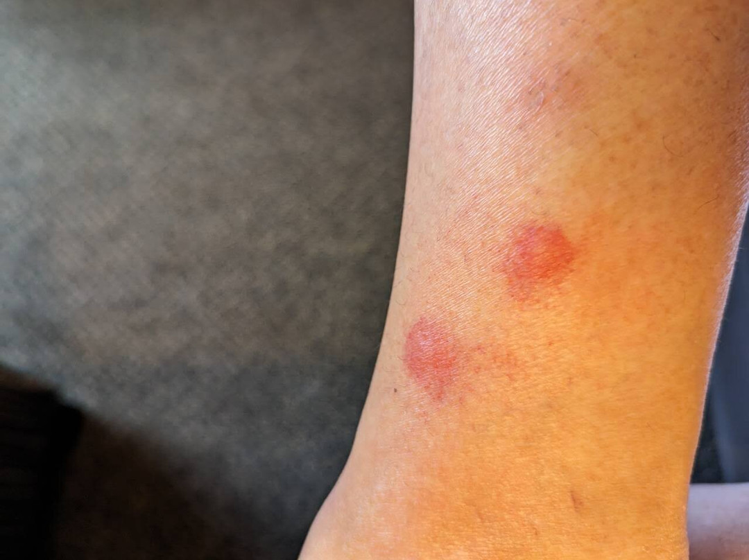 Comfort Inn & Suites Wadsworth主图