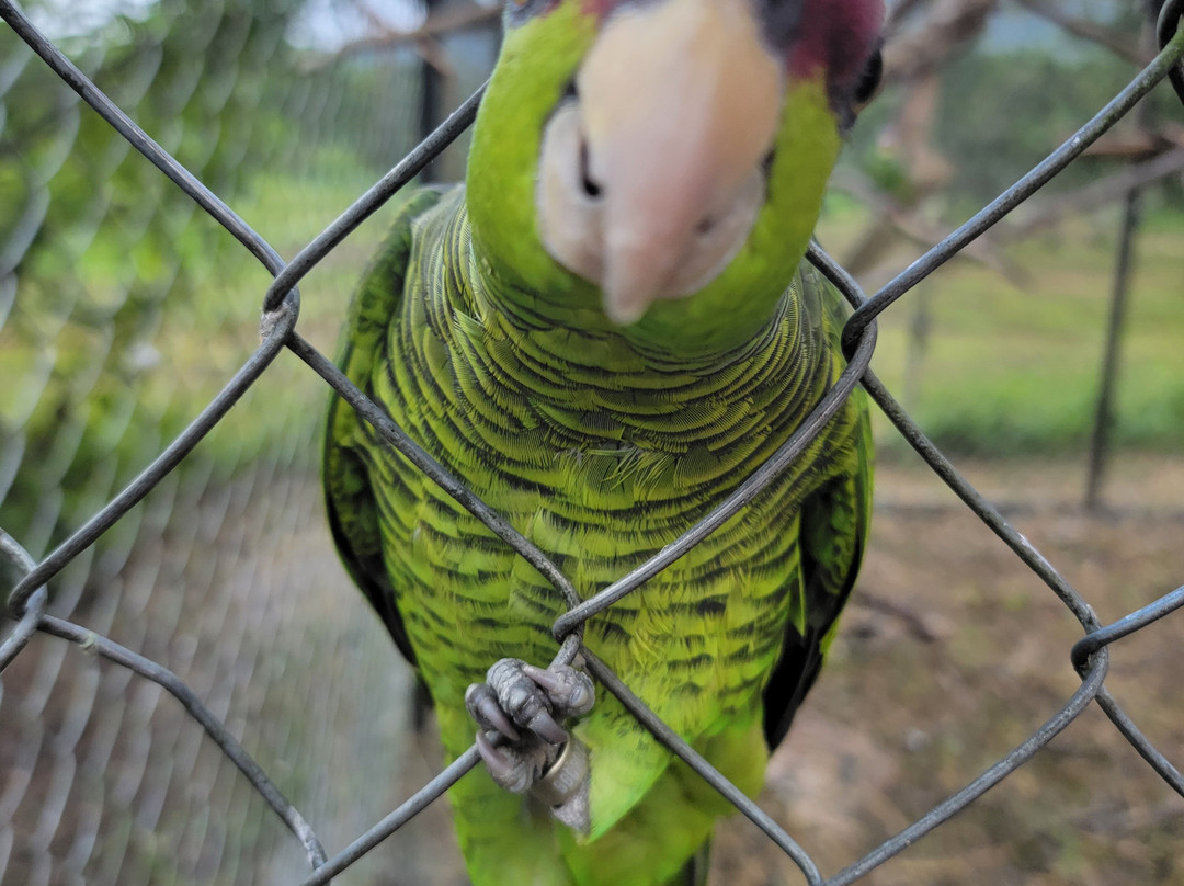 Rancho Primavera主图