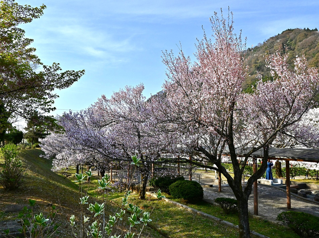 Shogawa Aqua Memorial Park景点图片