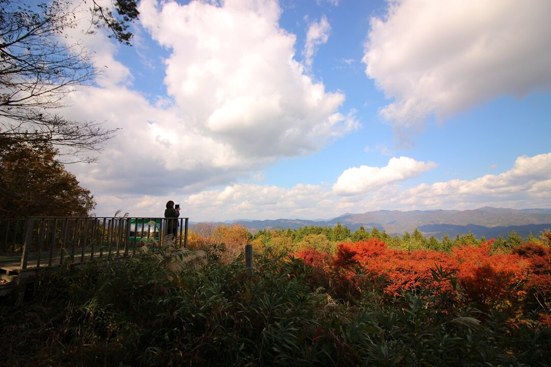 Nature Return Plateau
