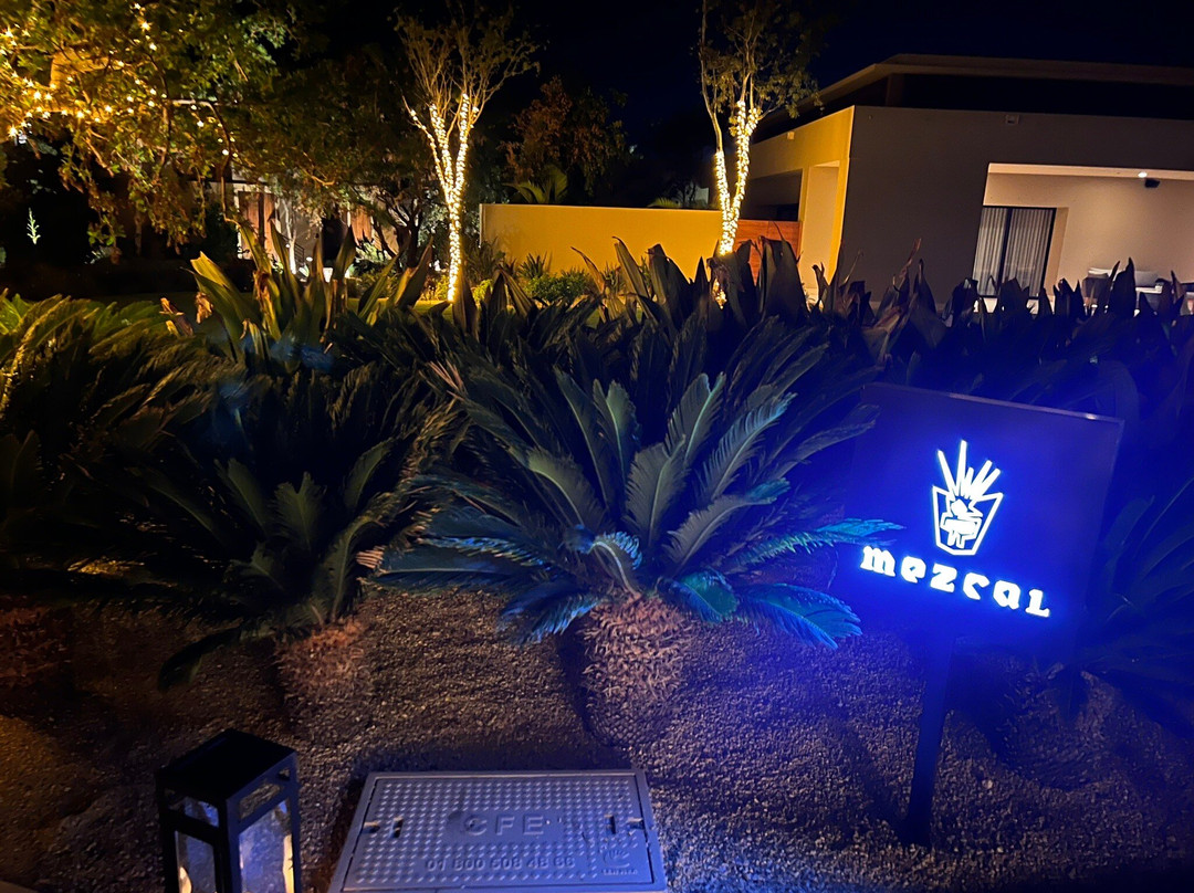 Mezcal At Montage Los Cabos